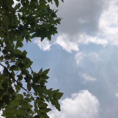 monkeydpan's profile picture. 