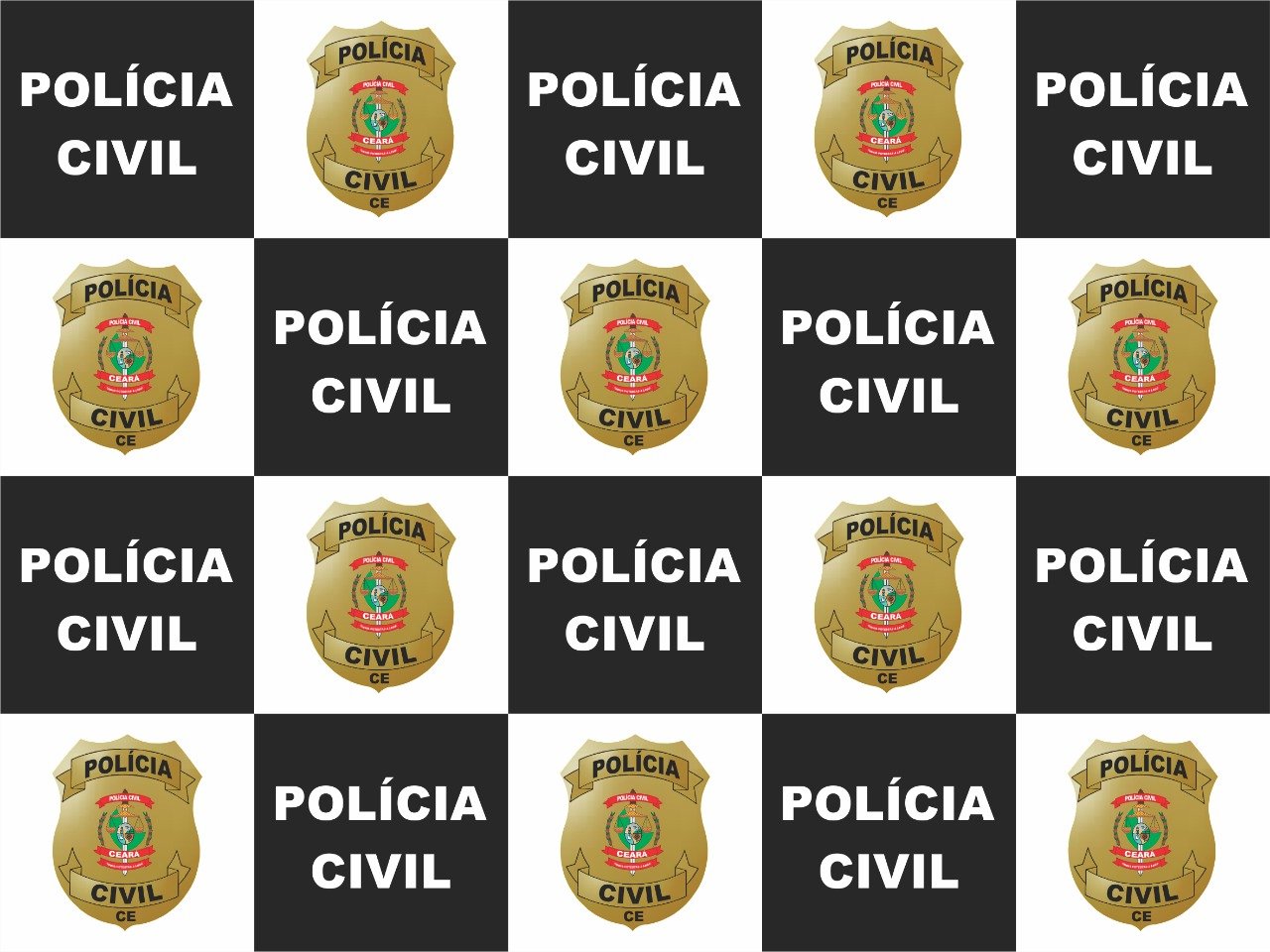 Perfil oficial da Polícia Civil do Estado do Ceará #pcce