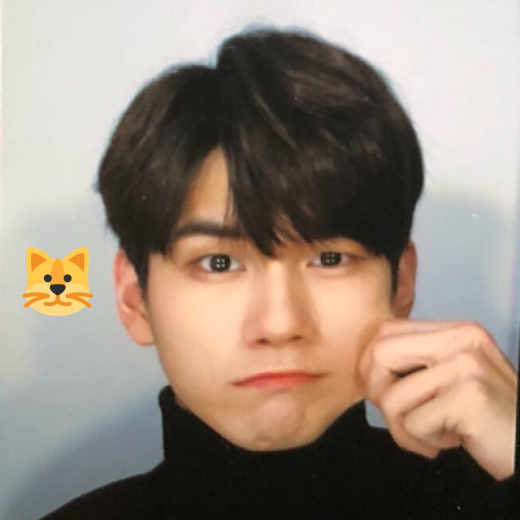 phosphense's profile picture. 