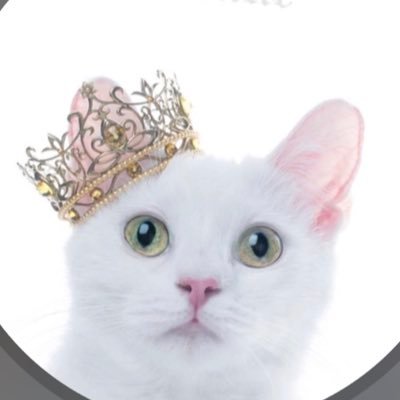 DappGame's profile picture. Welcome to the playful side of decentralized tech. 🦄 Lazy to tweet daily.(when I tweet, I tweet to kill🦁🔰) #dapp #blockchain #cryptocurrency