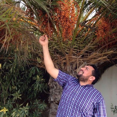 روائي وسيناريست
