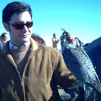 FcoVinuelas's profile picture. Arqueólogo, museología, peritaje y tasación de obras de arte. Director del Centro Dinastía Bienvenida, Cronista Oficial de Bienvenida (Badajoz).