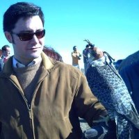 F. Javier RodríguezViñuelas (@fcovinuelas) 's Twitter Profile