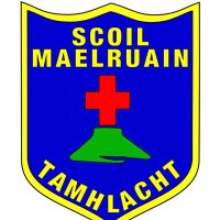 Scoil Maelruain Senior Active Flag (@maelruainactive) 's Twitter Profile