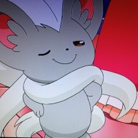 しゃるるん (@12rax) 's Twitter Profile