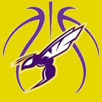 VCHS Girls Basketball(@VCHSgirlsbball) 's Twitter Profile Photo