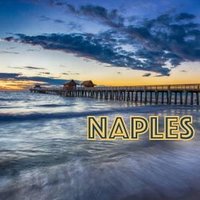 Naples Safety Team 🇺🇸(@NaplesSafety) 's Twitter Profileg