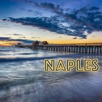 Naples Safety Team 🇺🇸 (@naplessafety) 's Twitter Profile