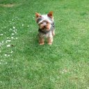 Gillian Wall - @GillianWall11 - Twitter