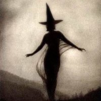 Fhraoch ๐๐ (@fhraoch) 's Twitter Profile