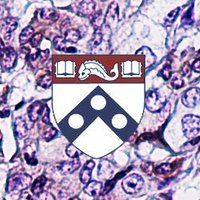 Institute for Regenerative Medicine (@irm_upenn) 's Twitter Profile