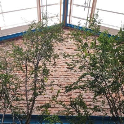 An indoor arts & community garden in Granby, Liverpool 8 🌿