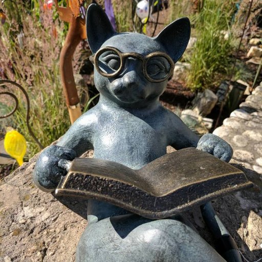 julianna_cucci's profile picture. 