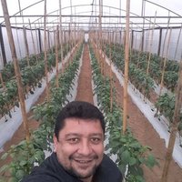 Taní (@edgararmoa2) 's Twitter Profile