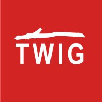 Twig(@twigWIP) 's Twitter Profile Photo