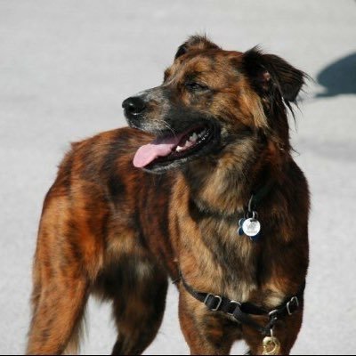 kehrman6's profile picture. Mommy, mathlete, living out in the boondocks