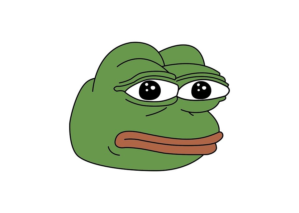 timetwowaste1's profile picture. 