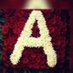 I love you yemen (@abdulra40577323) Twitter profile photo I love you yemen (@abdulra40577323) Twitter profile photo