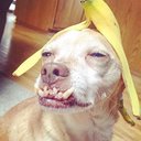 Kaiden Erickson - @hockey__kdog - Twitter