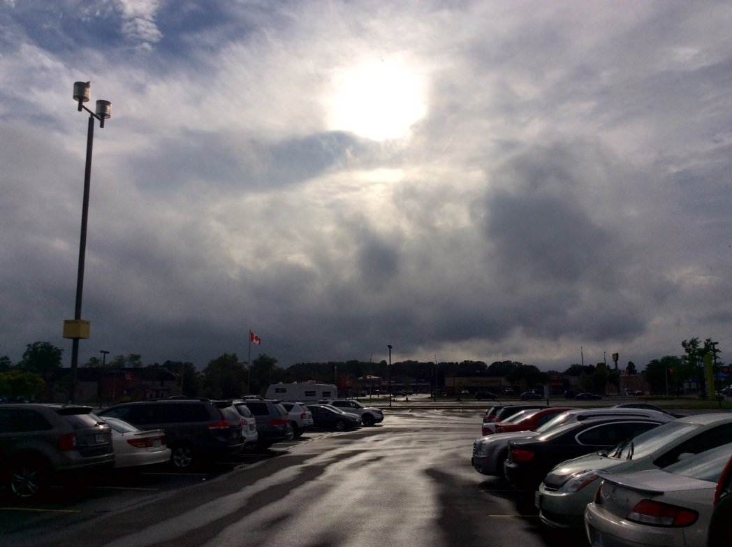 alybraly's profile picture. . Tech . Science . Art . Music . Theater . Politics . Economics . JustIdeas .
  Educate yourself . Democracy requires it .
                       . See True .