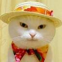 Jean Choate - @lizziecat1066 - Twitter