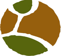 ElementDG's profile picture. structural engineering . architecture . landscape architecture