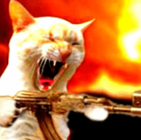 toycar59's profile picture. https://t.co/b0lhBX9WdB