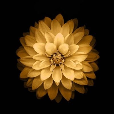 MugeshKannank1's profile picture. தமிழன்டா