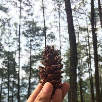 anakchaniagoo's profile picture. Kemaren, Hari ini, Esok, dan Selamanya | Manusia Indonesia yang mencintai pak Jokowi dan ingin Indonesia lebih maju | Domisili Padang