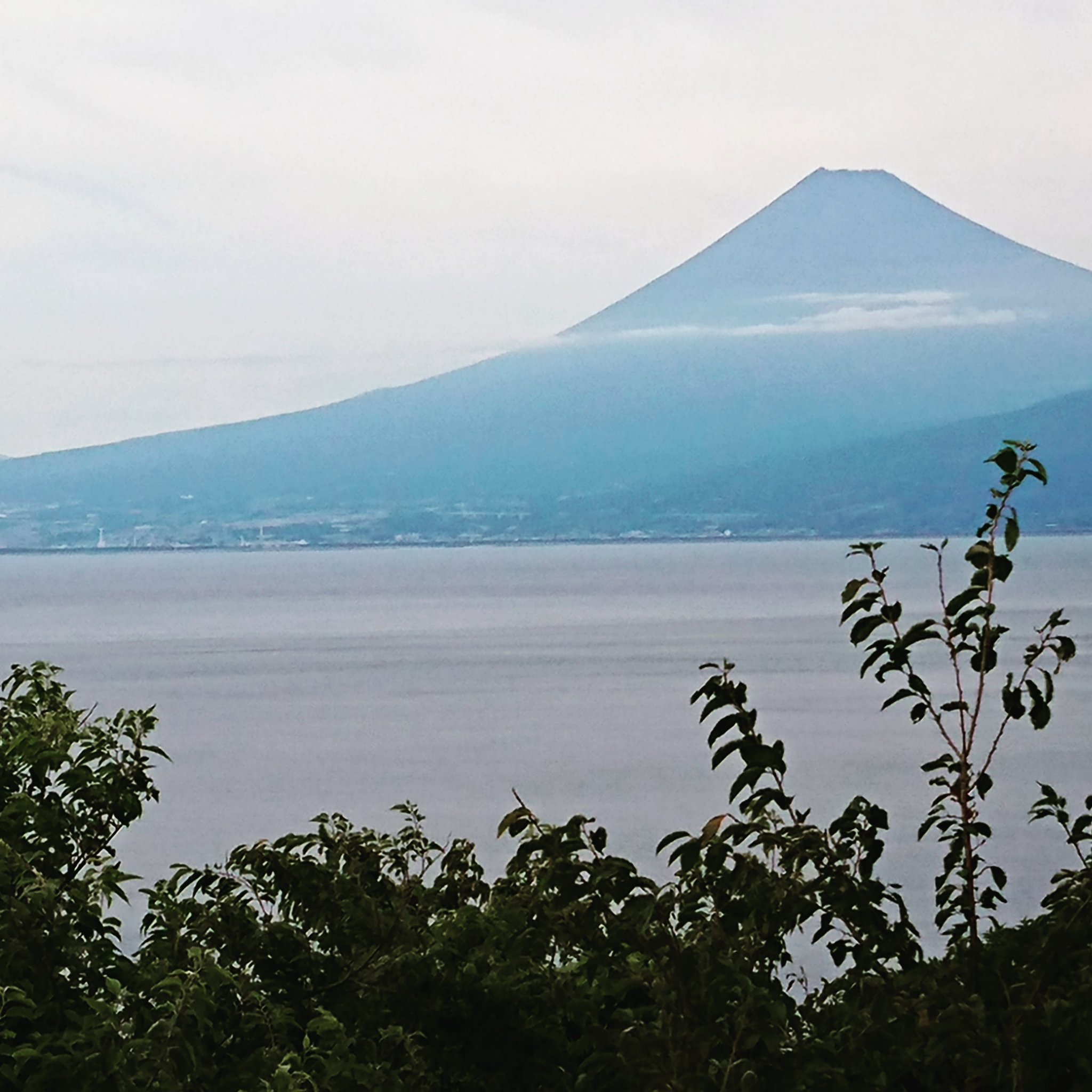 d0RWXTR5JT2O5bz's profile picture. Born 1967
National Government Licensed Guide 
Interpreter（English and Mandarin）