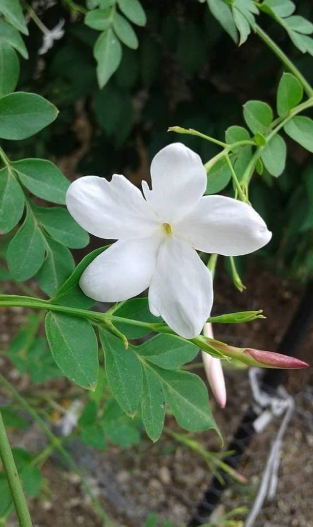 qK9DgafwWmYcdjf's profile picture. 