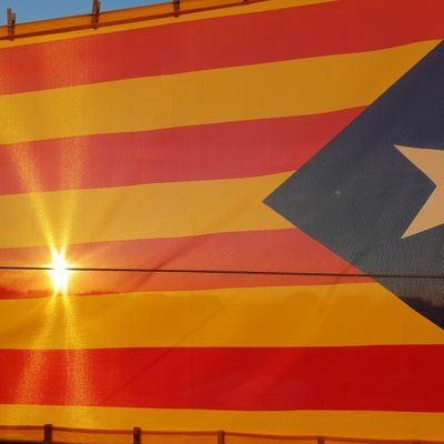 Unión.Indepe.Orégimen78
Libertad.Secuestrados.yExiliados
Insumisión.Desobediencia
Insumisión.Resistencia.Insumisión.Persistencia