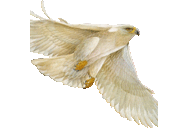 thomas fruge - @HuggsNSmiles19 - Twitter