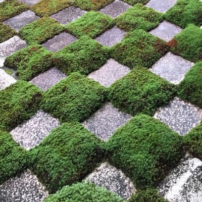 kgpn_akfj's profile picture. 貴腐人のハンクラアカウント。帆布のバッグとか組紐とか作る人。にっかり青江・石切丸・宗三左文字・山姥切長義・南泉一文字が特に推し。tturと休暇。と夜明けの唄と社畜アレ誠にも落ちて大変。10DANCEとケイ×ヤクも反芻してる。