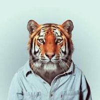 Richard Parker(@R_Parker_Tigre) 's Twitter Profile Photo