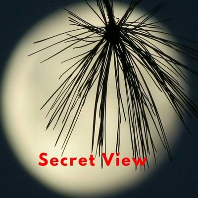 secretview4u's profile picture. 