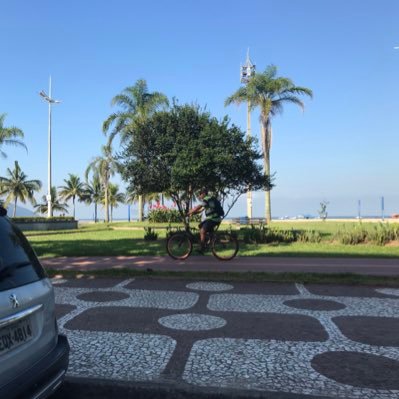 PatriciaPpterra's profile picture. 