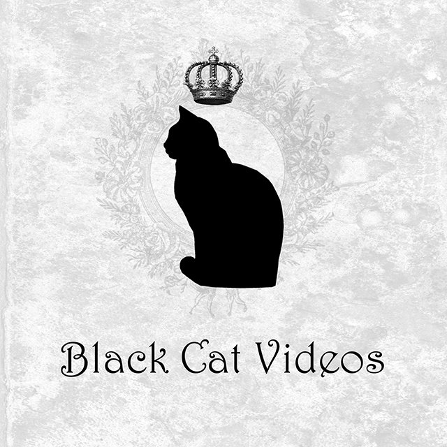 BlackCatVideos1 Profile Picture