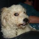 Ruby Kent - @queenieq - Twitter