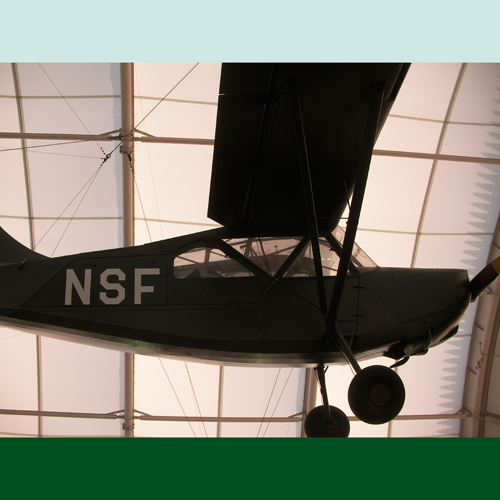 wolwool's profile picture. 常に本人がつぶやきます