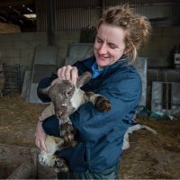 Emily Gascoigne(@Em_the_SheepVet) 's Twitter Profile Photo