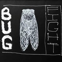 Bug Fight (@fight_bug) 's Twitter Profile