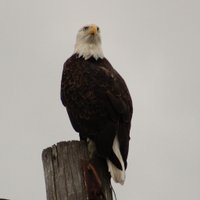 Nee'da (@a_bar411) 's Twitter Profile Photo Nee'da (@a_bar411) 's Twitter Profile Photo