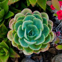 telloc landscape (@telloclandscape) Twitter profile photo