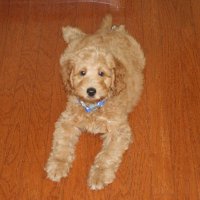 Texasdaydreamer (@texasdaydreamer) 's Twitter Profile