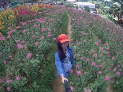 Aspirant architect/licensed kdrama addict / Army/ thankGodI'mmorena