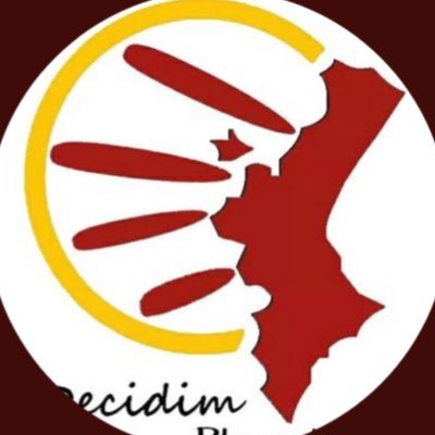 Assemblea de les Comarques del Nord. Volem decidir-ho tot. Membres @Decidim_ @JoDaD_PV #SomPaísValencià #Decidim decidimplanadelarc@gmail.com