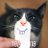 PiesDos's profile image