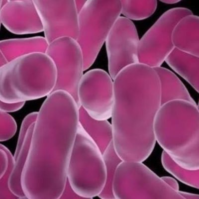 juliedcook1's profile picture. 