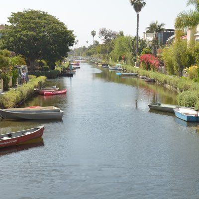 rinradachaigne1's profile picture. 